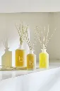 willow-diffuser-orange-lily-lifestyle-web-optimised.webp