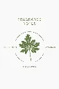 geranium_fragrance_notes_1.webp