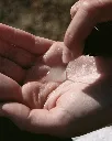 LaB_Mildcleansinggel_TEXTURE.webp
